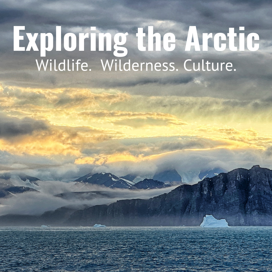 SPRING SERIES: Exploring the Arctic - Wildlife, Wilderness, Culture. Starts April 29, 2025