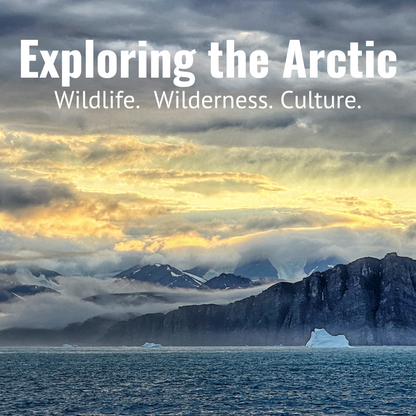 SPRING SERIES: Exploring the Arctic - Wildlife, Wilderness, Culture. Starts April 29, 2025